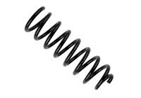 Chassis spring