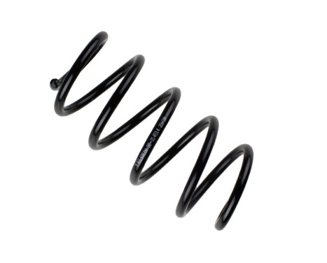 Chassis spring