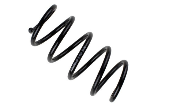 Chassis spring