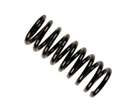 Chassis spring