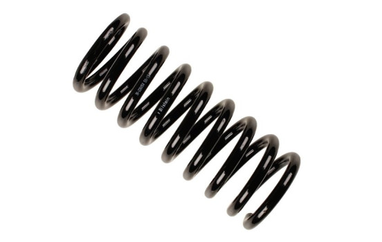 Chassis spring