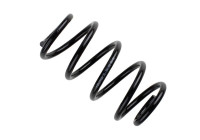 Chassis spring