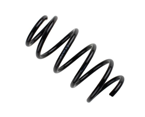 chassis spring