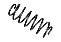 Chassis spring