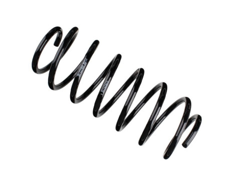 Chassis spring