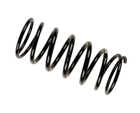 Chassis spring