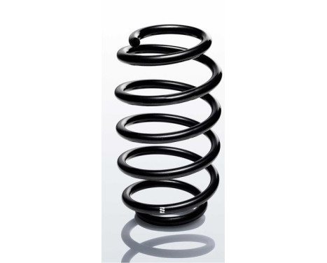 chassis spring