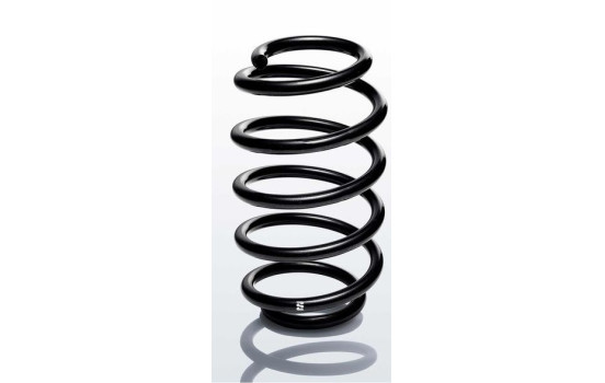 chassis spring