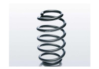 chassis spring