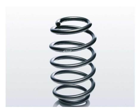 chassis spring