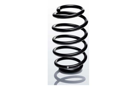 chassis spring