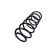 Chassis spring