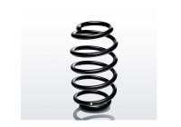 chassis spring