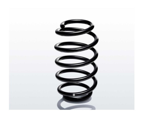 chassis spring