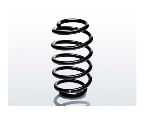 chassis spring