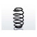chassis spring