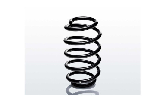 chassis spring