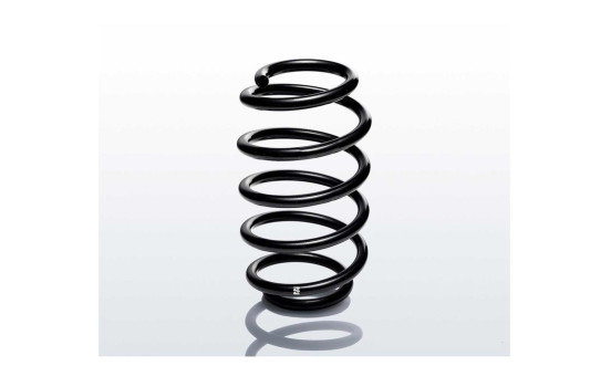 chassis spring