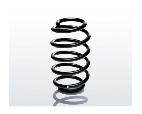 chassis spring