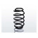 chassis spring