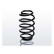 Chassis spring