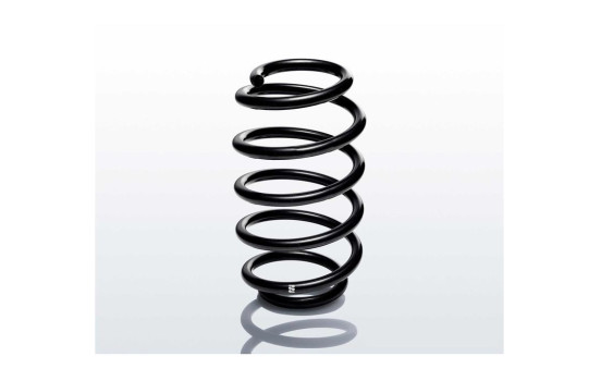 Chassis spring