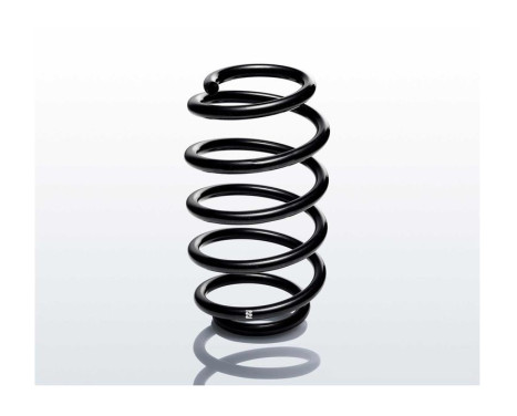 chassis spring