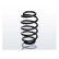 chassis spring