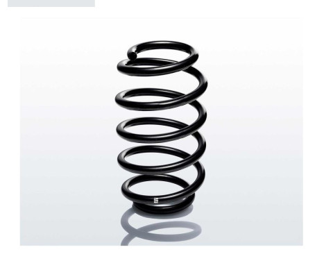 chassis spring