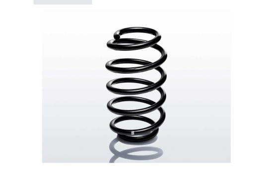 chassis spring