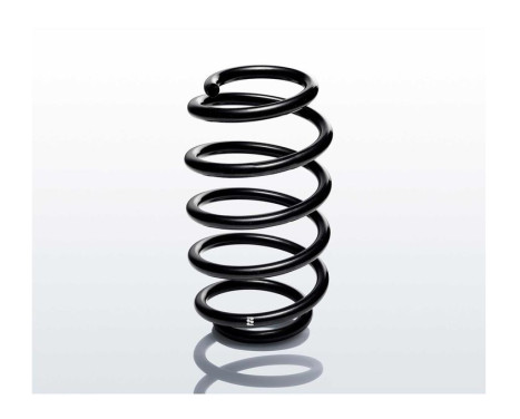 chassis spring