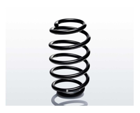 chassis spring