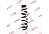 Chassis spring