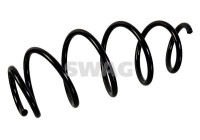 chassis spring