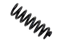 Chassis spring