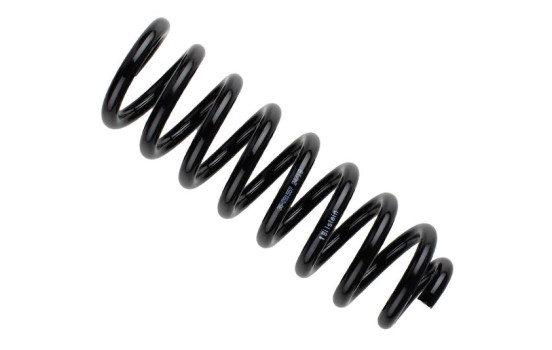 Chassis spring