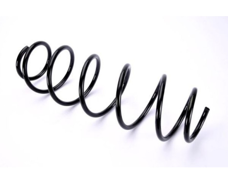 Chassis spring