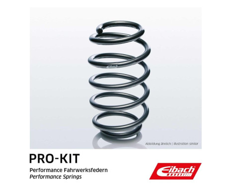 Chassis spring