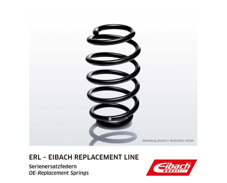 Chassis spring