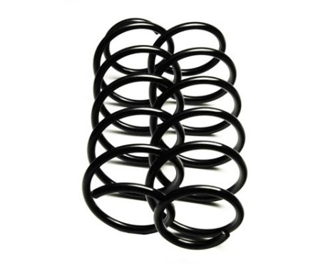 Chassis spring