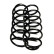 Chassis spring