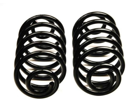 Chassis spring