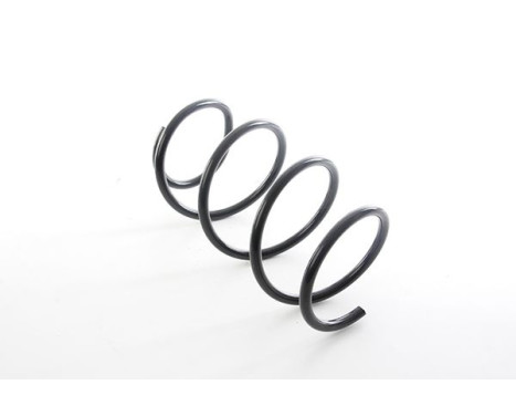 chassis spring