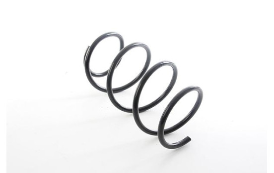 chassis spring