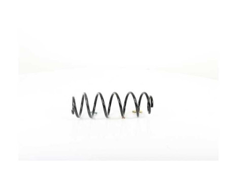chassis spring, Image 2