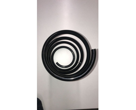 chassis spring