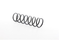 chassis spring