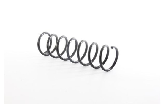 chassis spring