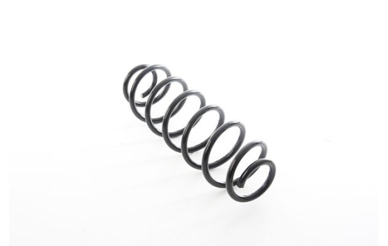 chassis spring