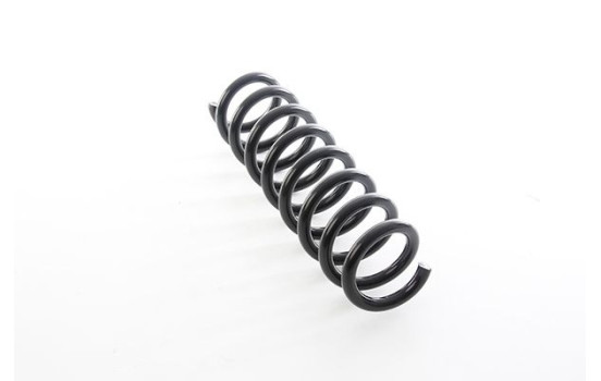 chassis spring